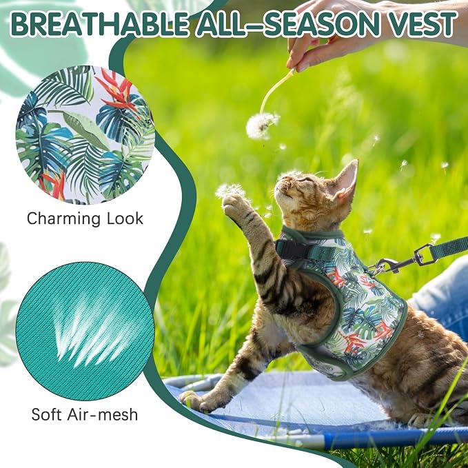 BINGPET Cat Harness and Leash Set Escape Proof - Image 2