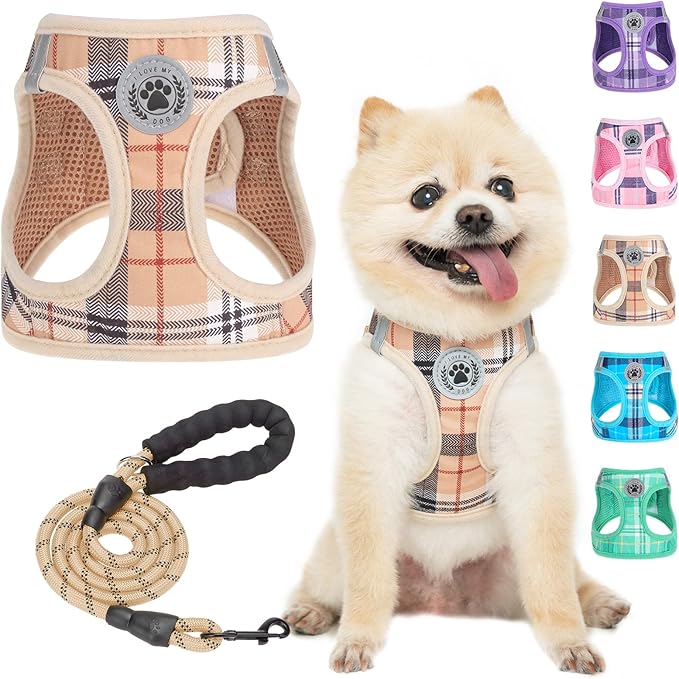 BEAUTYZOO Small Dog Harness and Leash Set, Step in No Choke No Pull Soft Mesh by BEAUTYZOO
