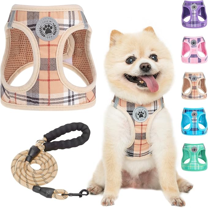 BEAUTYZOO Small Dog Harness and Leash Set, Step in No Choke No Pull Soft Mesh by BEAUTYZOO