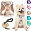 BEAUTYZOO Small Dog Harness and Leash Set, Step in No Choke No Pull Soft Mesh by BEAUTYZOO