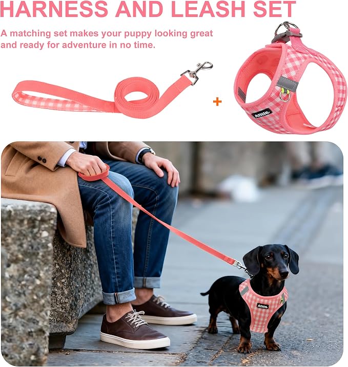 AIITLE Small Dog Harness and Leash Set, Step in No Pull Pet Harness, Soft Mesh - Image 6