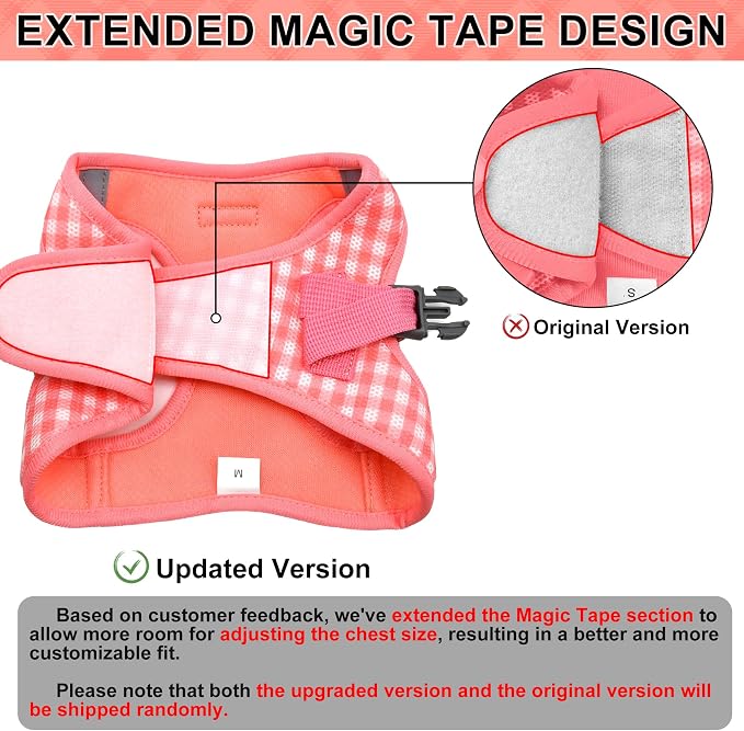 AIITLE Small Dog Harness and Leash Set, Step in No Pull Pet Harness, Soft Mesh - Image 3