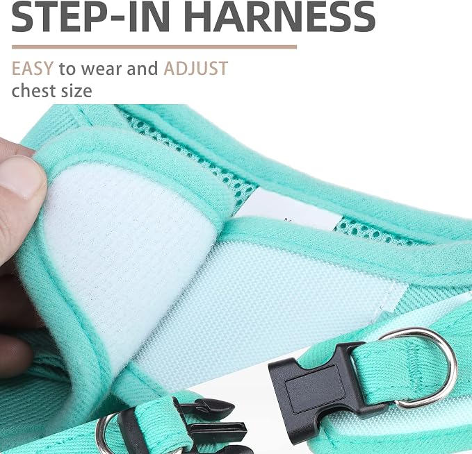 PUPTECK Dog Harness and Leash Set - Image 4