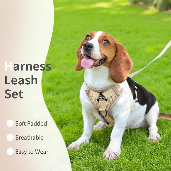 No Pull Dog Harness with Leash Set - Image 5
