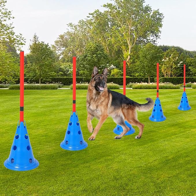 Dog Agile Course Backyard Set, Complete Dog Obstacle Kit - Image 6