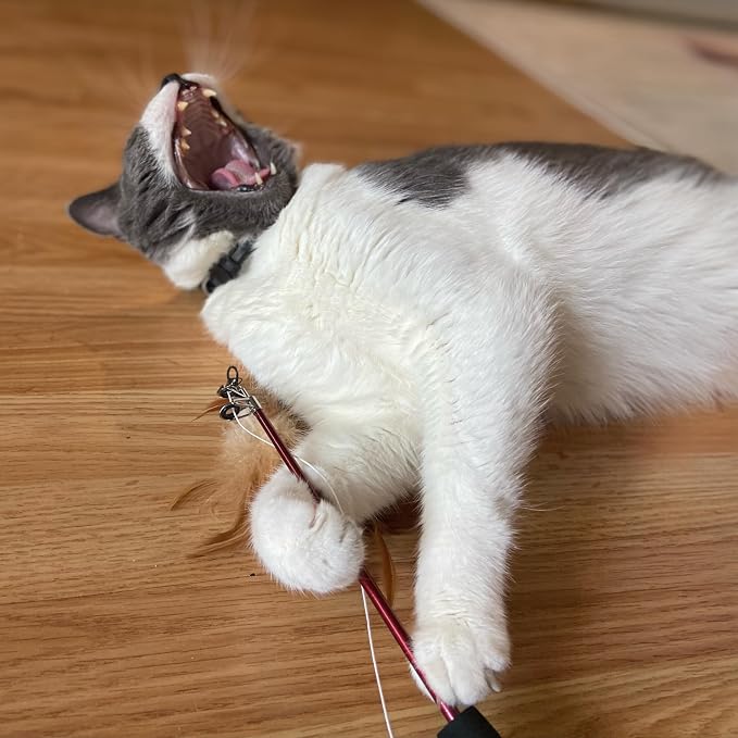 SPOT Fishing Rod 'N Reel Kitty Teaser - Image 5