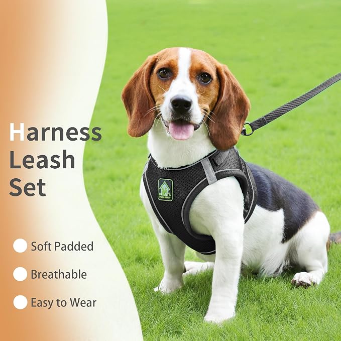 Step in Dog Harness with Leash Set, Adjustable Soft Padded and Breathable Mesh - Image 2