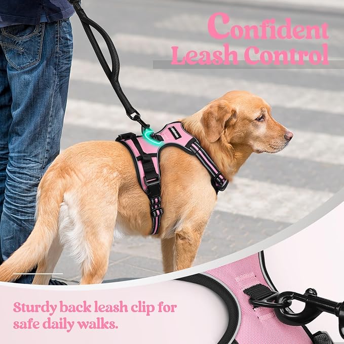 rabbitgoo Dog Harness No Pull - Image 6