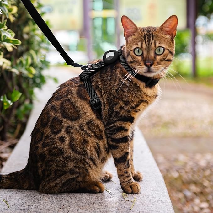 Cat Harness and Leash Set with Airtag Holder - Image 3