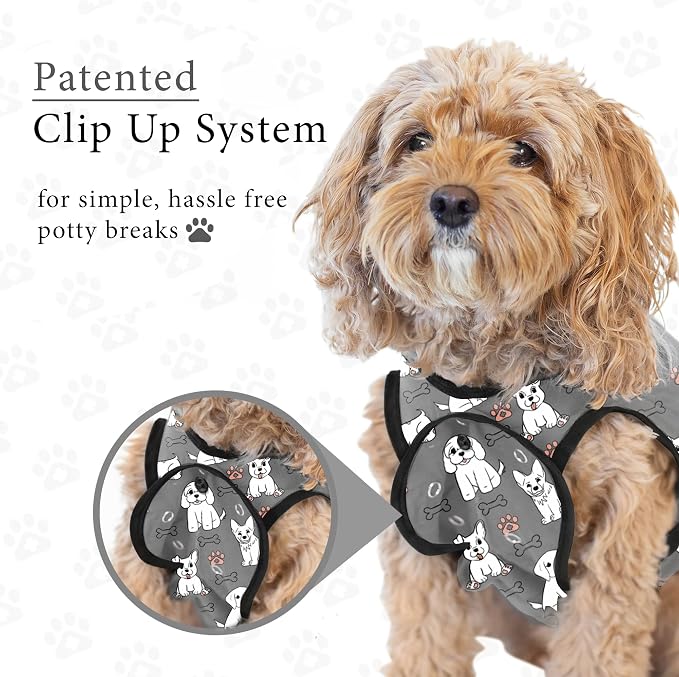 BellyGuard Dog Surgery Recovery Suit, Dog Onesie - Image 7