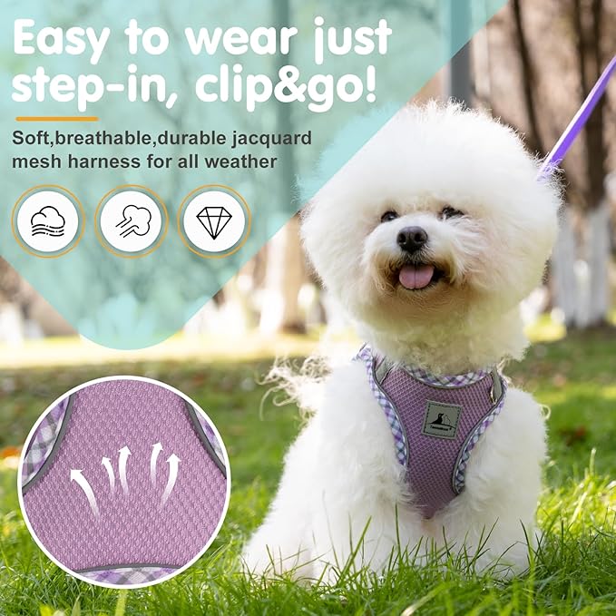 Dog Harness and Leash Set, No Pull Pet Harness - Image 2