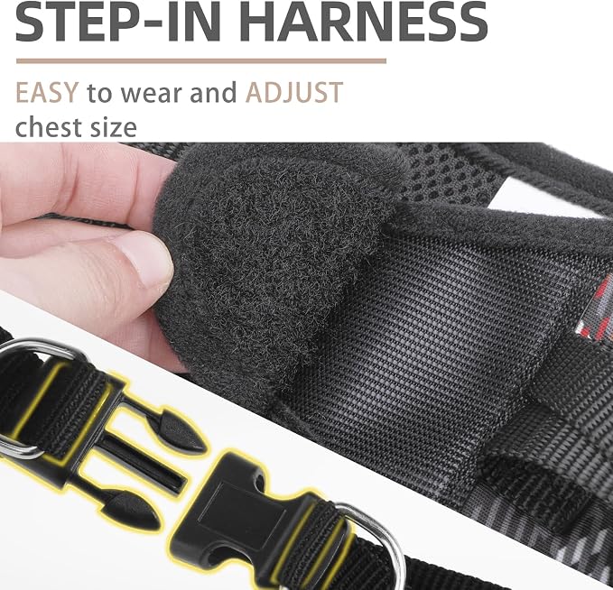PUPTECK Dog Harness and Leash Set - Image 3