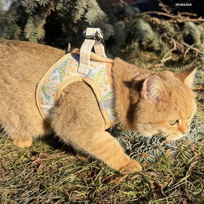Lucy & Co. Sunshine and Daffodils Step-in Cat Harness and Leash Set Bundle - Image 6