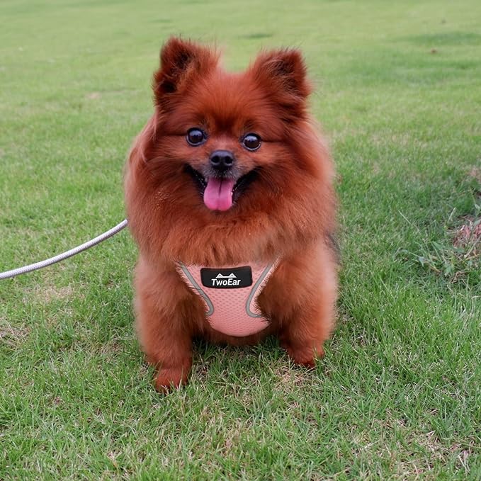 TwoEar Dog Vest Harness Reflective, No-Pull Pet Harness Easy Control - Image 6