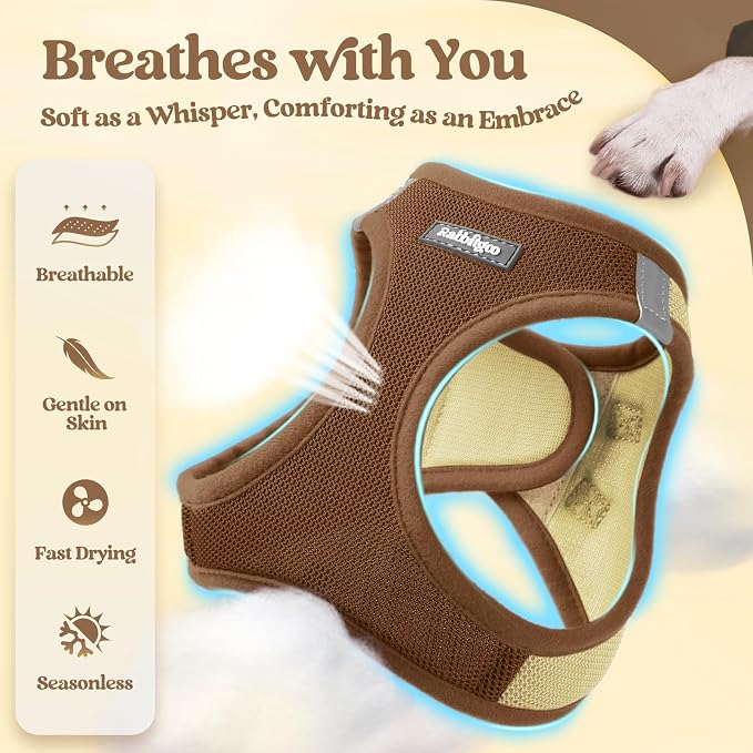 rabbitgoo Dog Harness Small Sized and Leash Set, Step in Soft Light Puppy Vest - Image 5