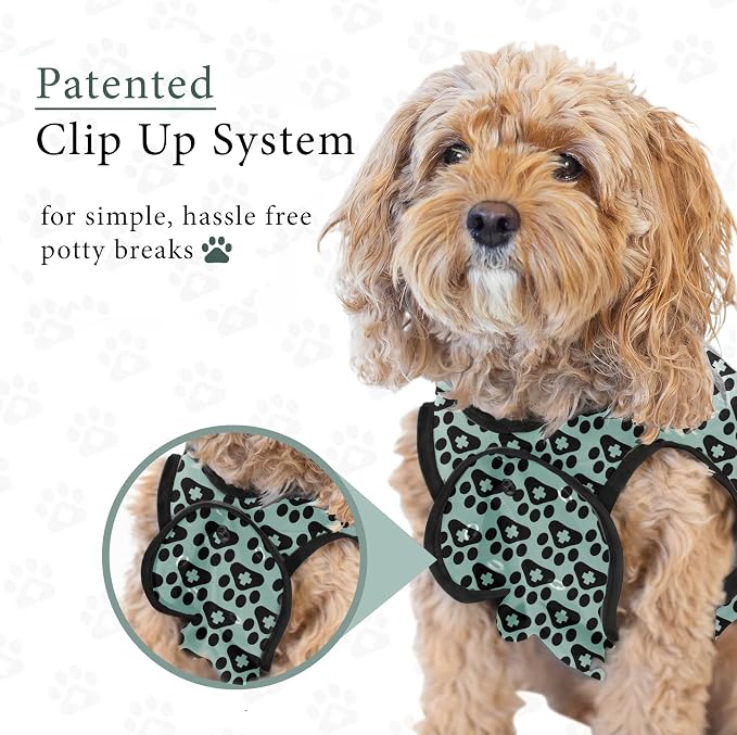 BellyGuard Dog Surgery Recovery Suit, Dog Onesie - Image 7