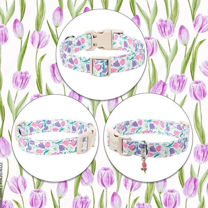Floral Dog Collar for Large Dogs - Image 7