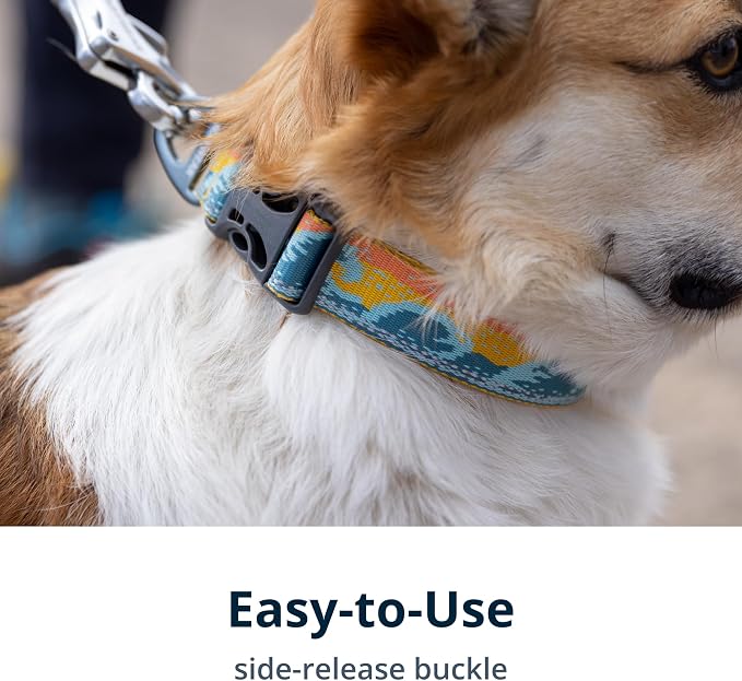 Ruffwear, Crag Dog Collar, Stylish Adventure Collar - Image 4