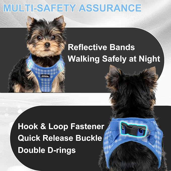 AIITLE Easy Walk Dog Vest Harness and Leash Set, Pet Supply No Pull, Breathable - Image 8
