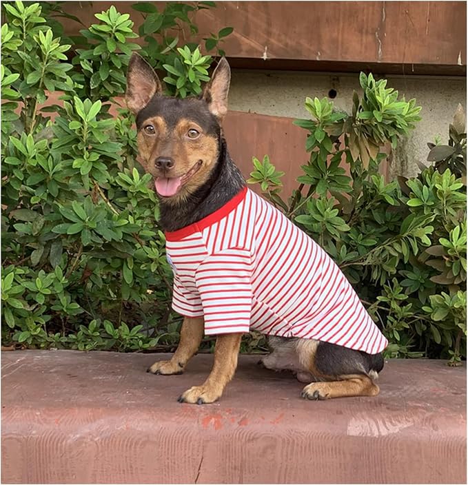 YQYS Pet T-Shirts Thick Striped Cotton Tee Shirt - Image 4