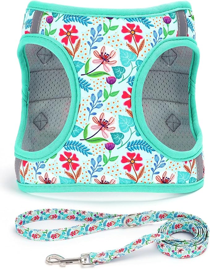 Moonpet Step in Dog Harness Leash Set- All Weather Reflective No-Pull Floral by MOONPET