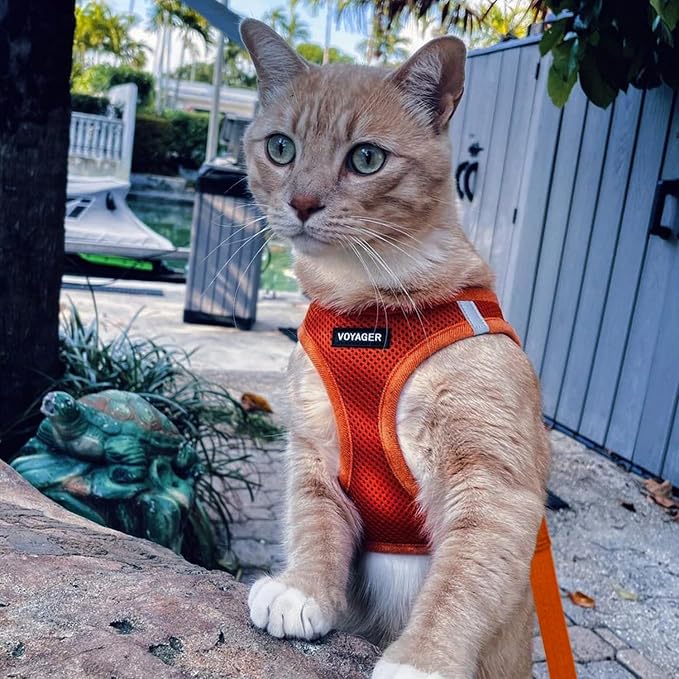 Voyager Step-in Pet Harness - Image 6