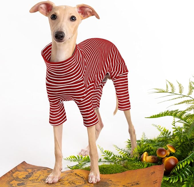 Dog Sweaters for Small Dogs Girls Boys, Striped Pet Sweaters for Fall Winter - Image 2