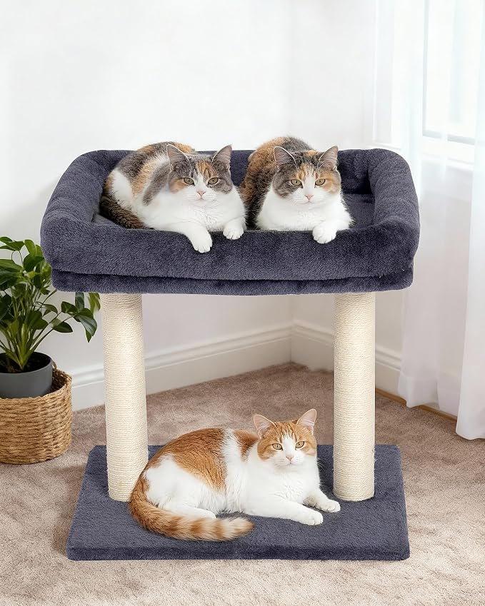 Cat Tree with Large Top Perch Bed, Small Cat Tower with Scratching Post - Image 6