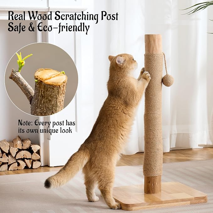 29" Tall Cat Scratching Post for Indoor Cats Adults, Extra-Stable & Natural - Image 4