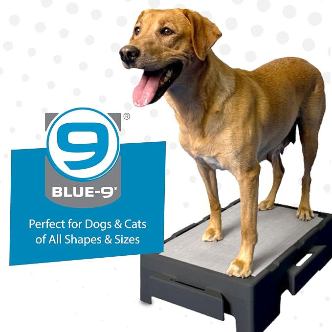Blue-9 KLIMB Jr. Professionally Designed Dog Training Platform and DIY Guide - Image 8