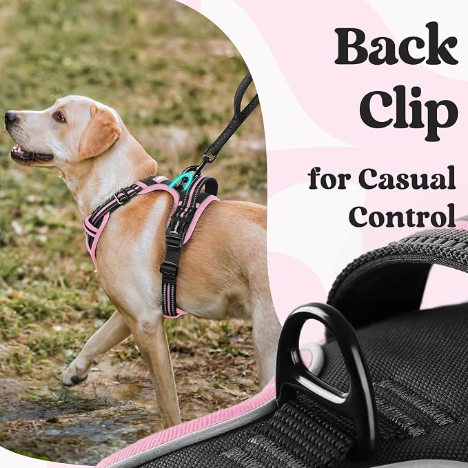 rabbitgoo Dog Harness for Large, No Pull Pet Harness - Image 5