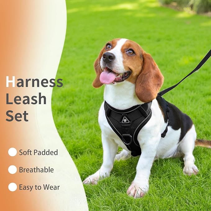 No Pull Dog Harness with Leash Set - Image 2