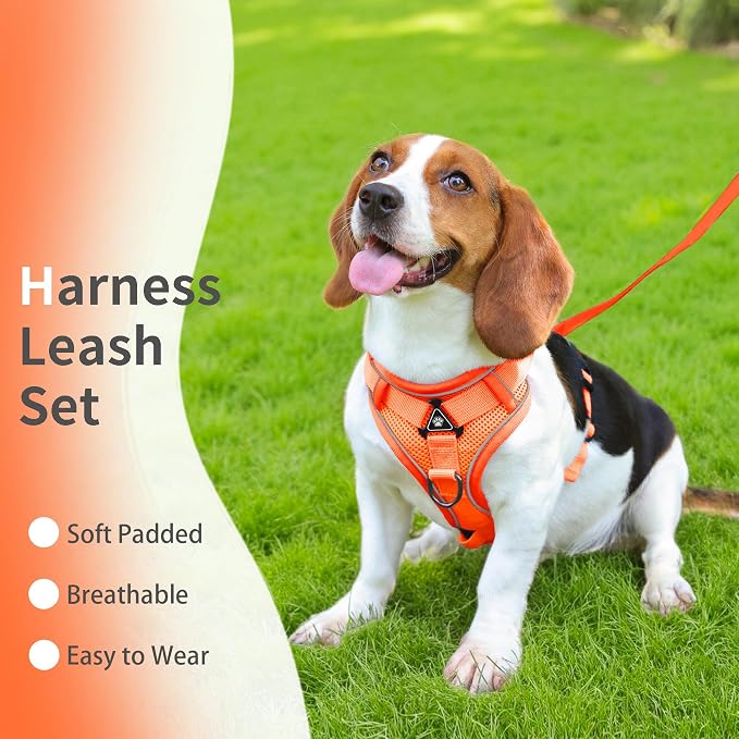 No Pull Dog Harness with Leash Set - Image 2