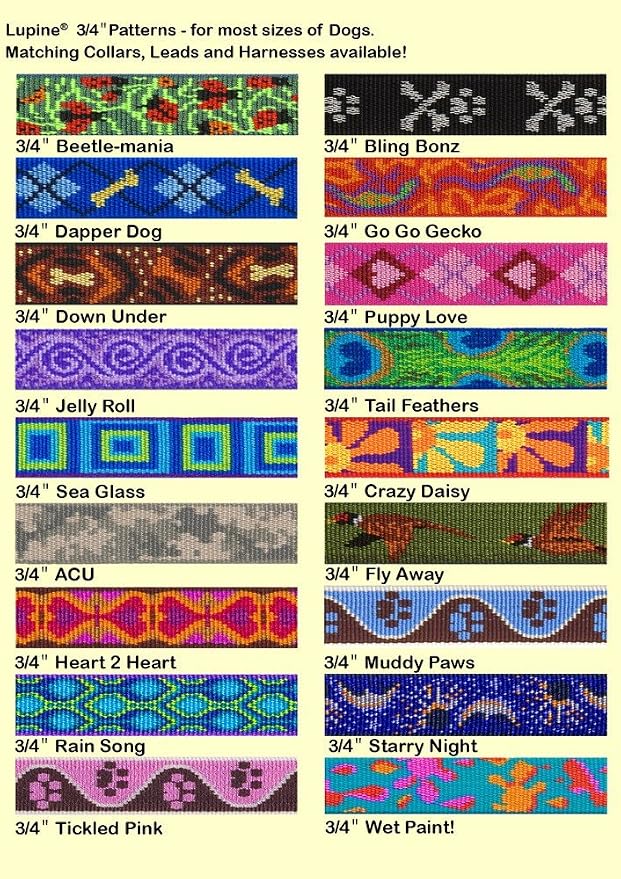 LupinePet Originals 3/4" Rain Song 15-25" Adjustable Collar - Image 3