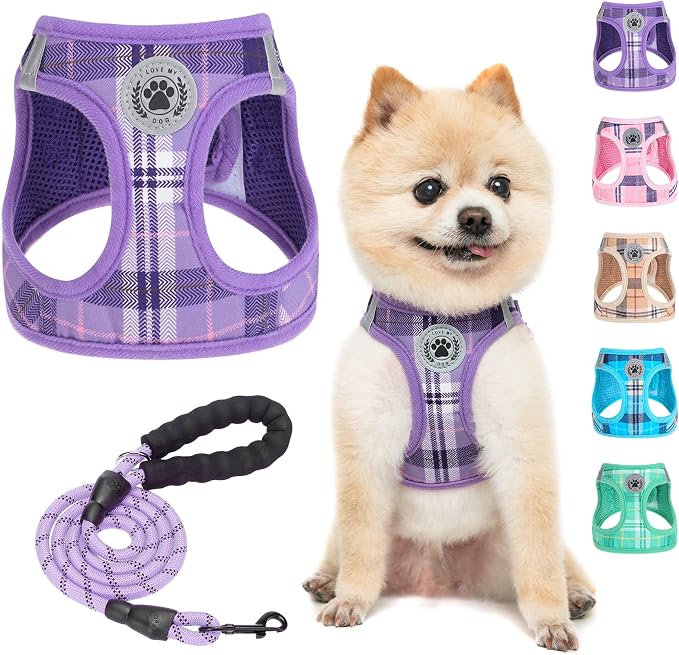 BEAUTYZOO Small Dog Harness and Leash Set, Step in No Choke No Pull Soft Mesh by BEAUTYZOO