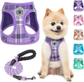 BEAUTYZOO Small Dog Harness and Leash Set, Step in No Choke No Pull Soft Mesh by BEAUTYZOO