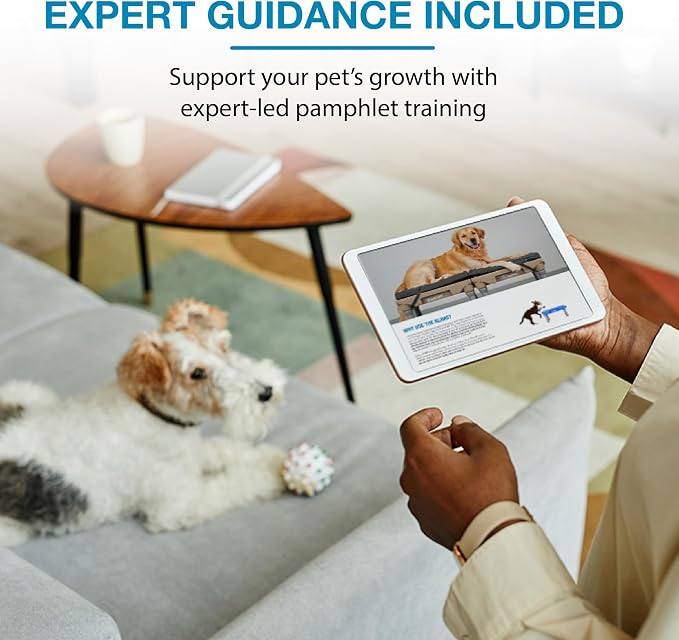 Blue-9 KLIMB Jr. Professionally Designed Dog Training Platform and DIY Guide - Image 7