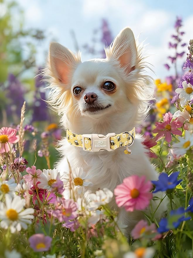 Bee & Daisy Dog Collar for Large Dogs - Image 6