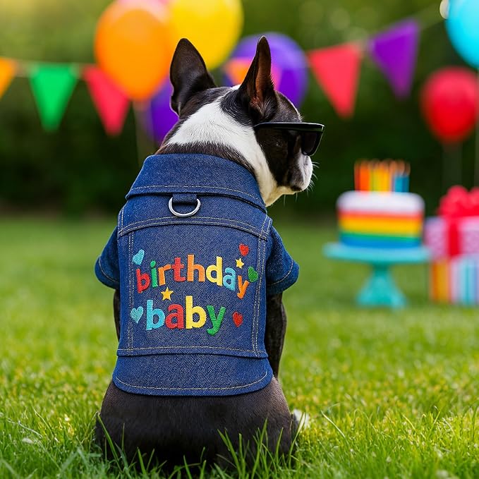 Dog Jean Jacket with D-Ring Blue Denim Coat Dogs Outfits - Image 4