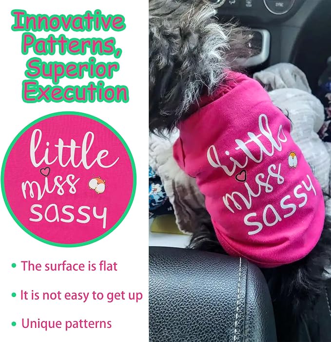 Paiaite Dog Clothes Fashionable Sleeveless Pet Vest: 'Little Miss Sassy' - Image 5