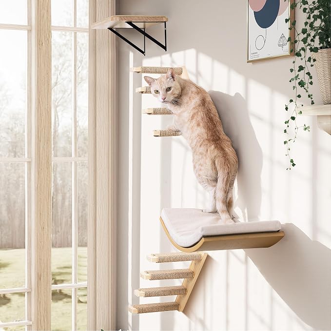 Cat Wall Stairs and Wall Shelves, 4 Piece Wood Cats Furniture Set, Padded - Image 2