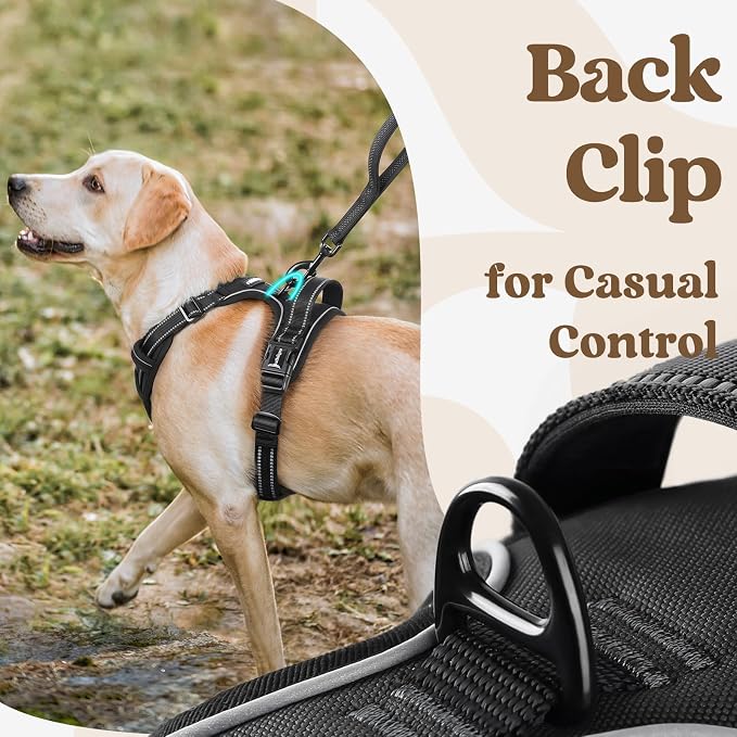 rabbitgoo Dog Harness Medium Sized, No Pull Pet Harness - Image 6