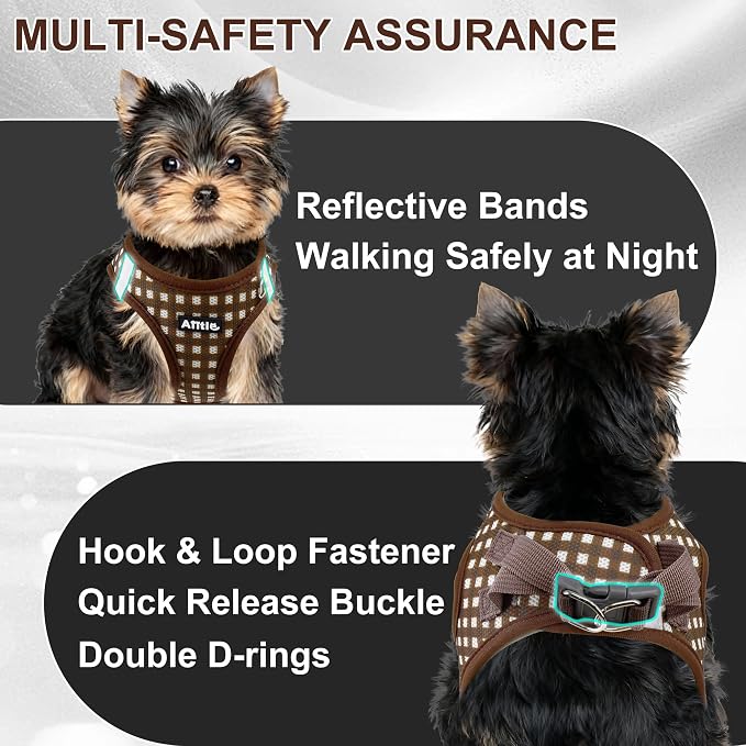 AIITLE No Pull Dog Harness and Leash Set, Step in No Chock Soft Mesh Dog - Image 8