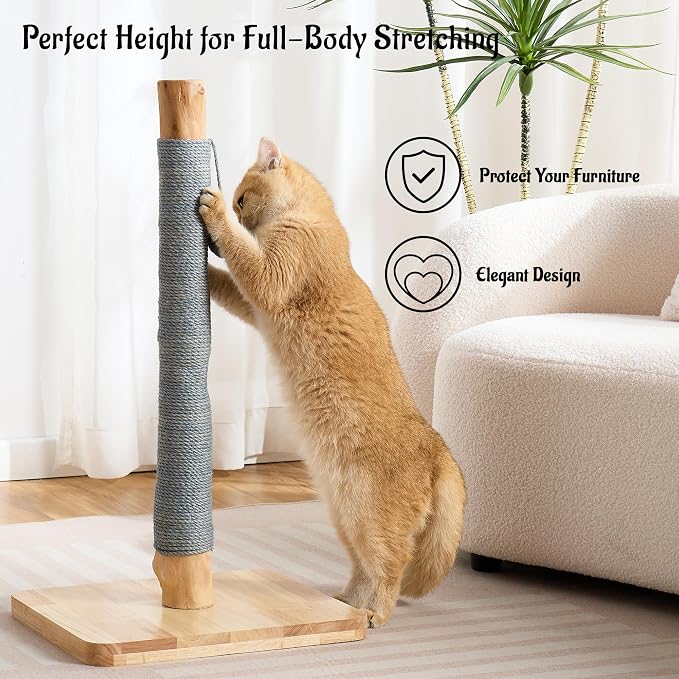 29" Tall Cat Scratching Post for Indoor Cats Adults, Extra-Stable & Natural - Image 2