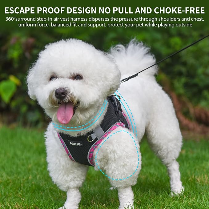 AIITLE Teacup Puppy Harness - Image 4
