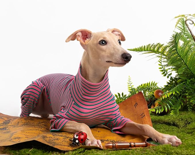 Dog Sweaters for Small Dogs Girls Boys, Striped Pet Sweaters for Fall Winter - Image 5