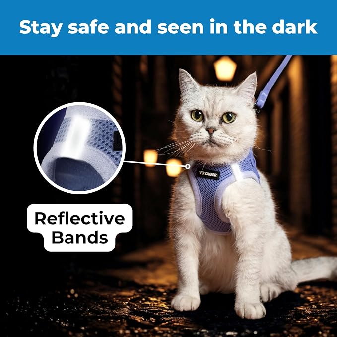 Voyager Step-in Pet Harness - Image 4