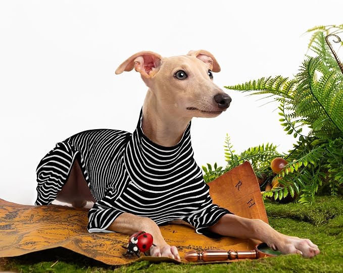 Dog Sweaters for Small Dogs Girls Boys, Striped Pet Sweaters for Fall Winter - Image 5