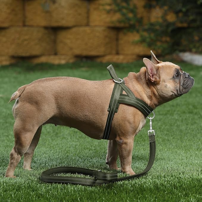 Plutus Pet No Pull Dog Harness - Image 5