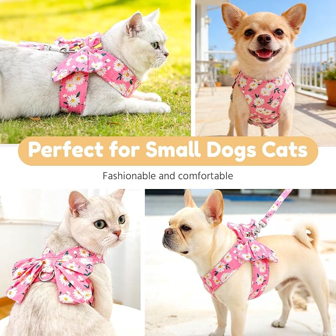 BAEJMJK Dog Harness and Leash Set - Image 7